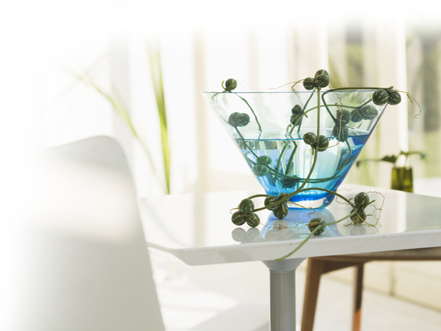 平野区 グループホーム れもんの木 料金